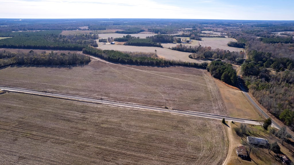2400 Ike Brunson Road Alcolu, SC 29001 - Photo 10 of 19 Gallery Image 10