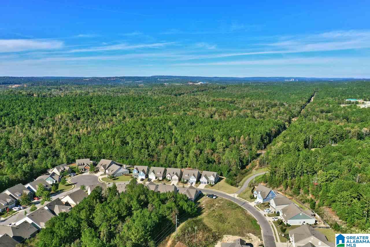 301 Appleford Road Helena, AL 35080 - Photo 5 of 43