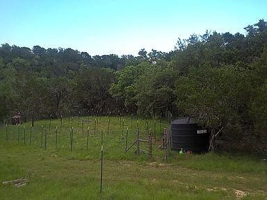 350 Bluff Road Spicewood, TX 78669 - Photo 10 of 22