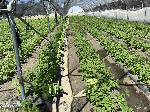 a view of swimming pool and a yard