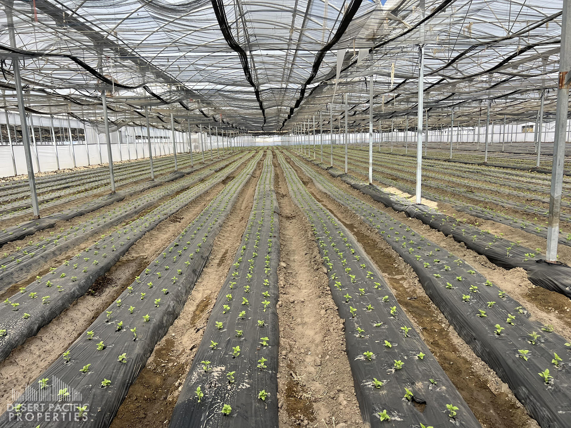 78100 Harrison Street Thermal, CA 92274 - Photo 15 of 40