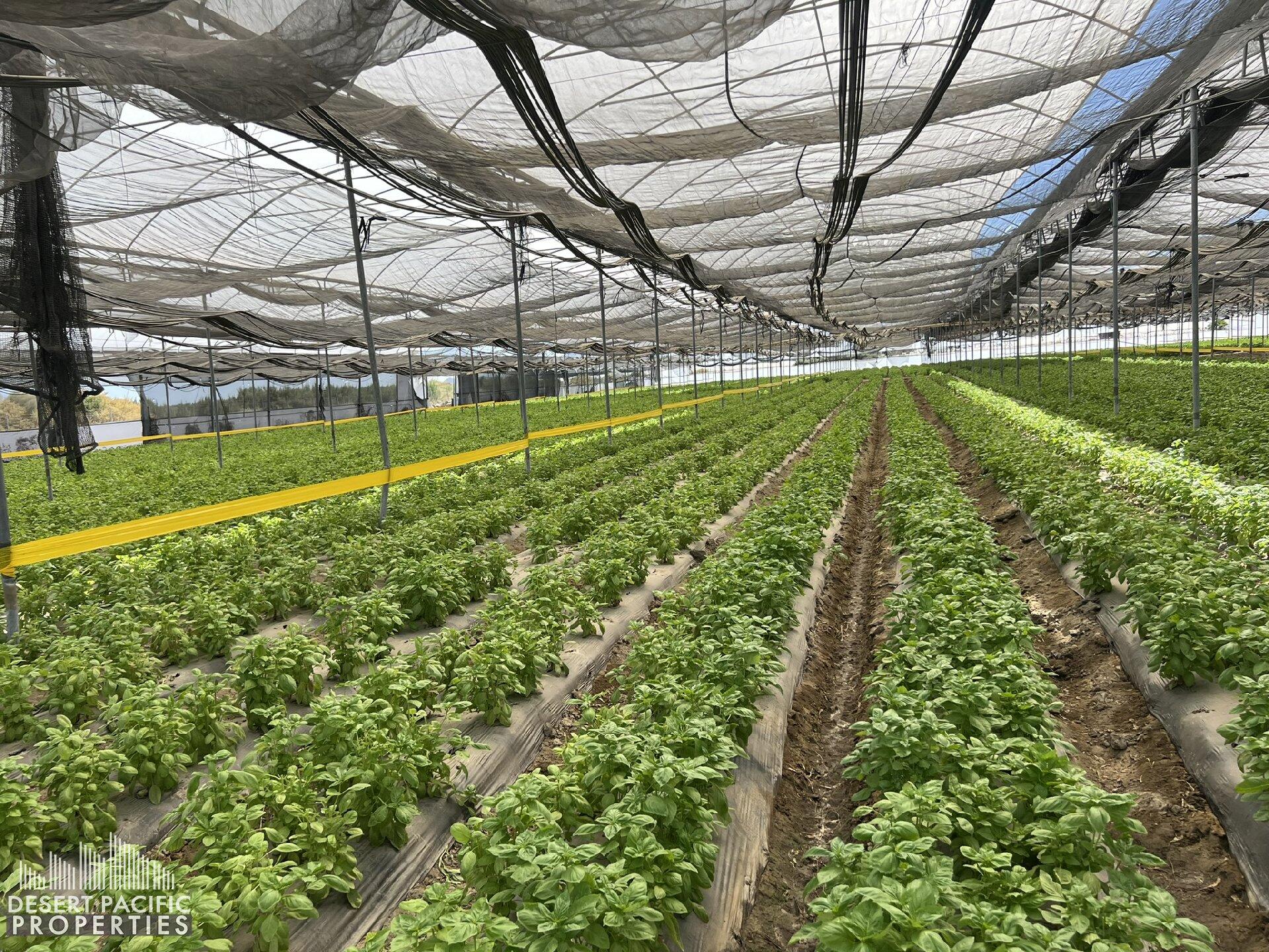 78100 Harrison Street Thermal, CA 92274 - Photo 5 of 40 a view of an outdoor space