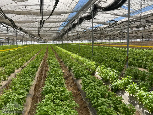 a view of a backyard with a lake view