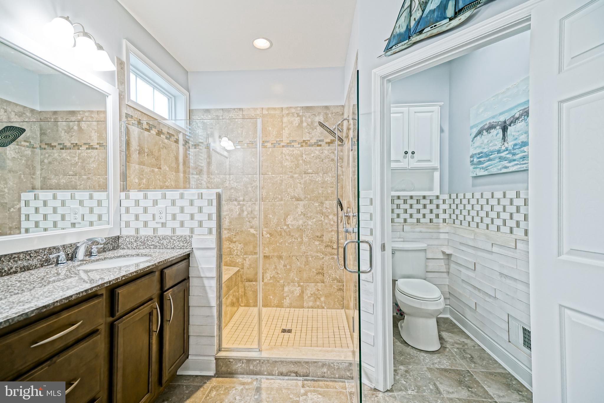 35236 Acadia Lane Lewes, DE 19958 - Photo 43 of 88 a bathroom with a granite countertop sink a toilet and shower