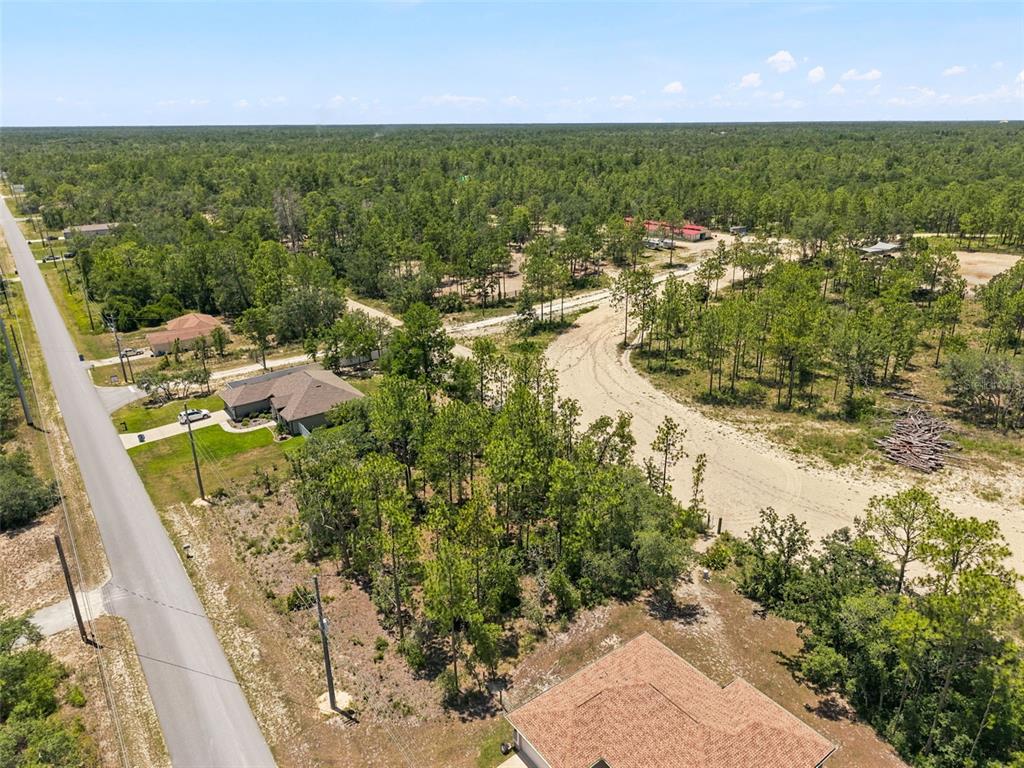 2 Ruffed Grouse Road Weeki Wachee, FL 34614 - Photo 5 of 11