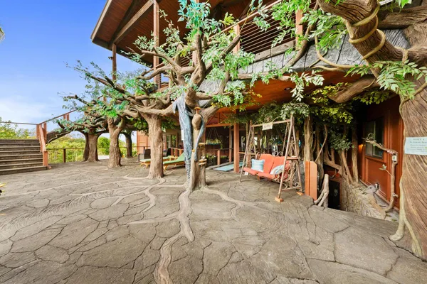 a view of a pathway with a tree