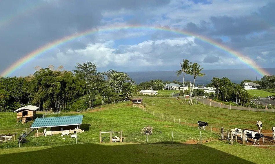 120 Woa Road Hilo, HI 96720 - Photo 29 of 30