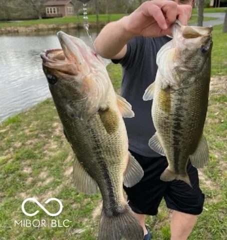 $3,129,000 | 1099 West 375 South, Trafalgar, IN 46181