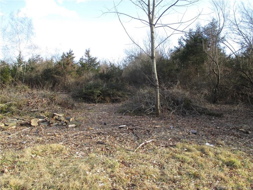 416 Williams Road Wallingford, CT 06492 - Photo 1 of 1 a view of a forest with trees in the background