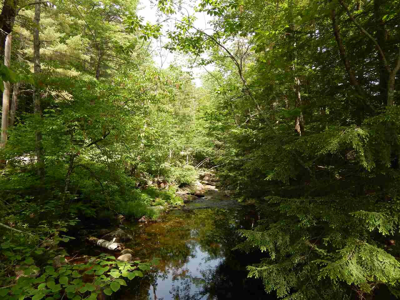 200 Center Road Bradford, NH 03221 - Photo 1 of 18 Gallery Image 1