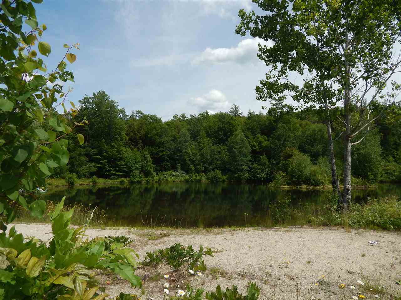 200 Center Road Bradford, NH 03221 - Photo 2 of 18 Gallery Image 2