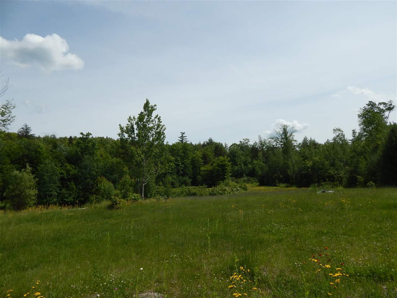 200 Center Road Bradford, NH 03221 - Photo 3 of 18 Gallery Image 3