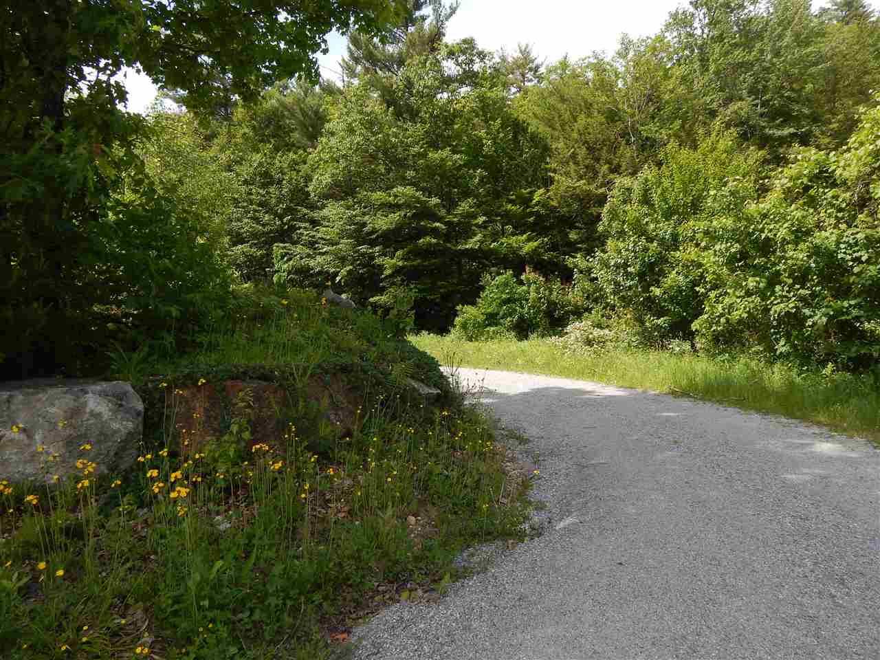 200 Center Road Bradford, NH 03221 - Photo 4 of 18 Gallery Image 4