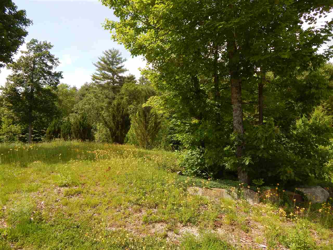 200 Center Road Bradford, NH 03221 - Photo 5 of 18 Gallery Image 5