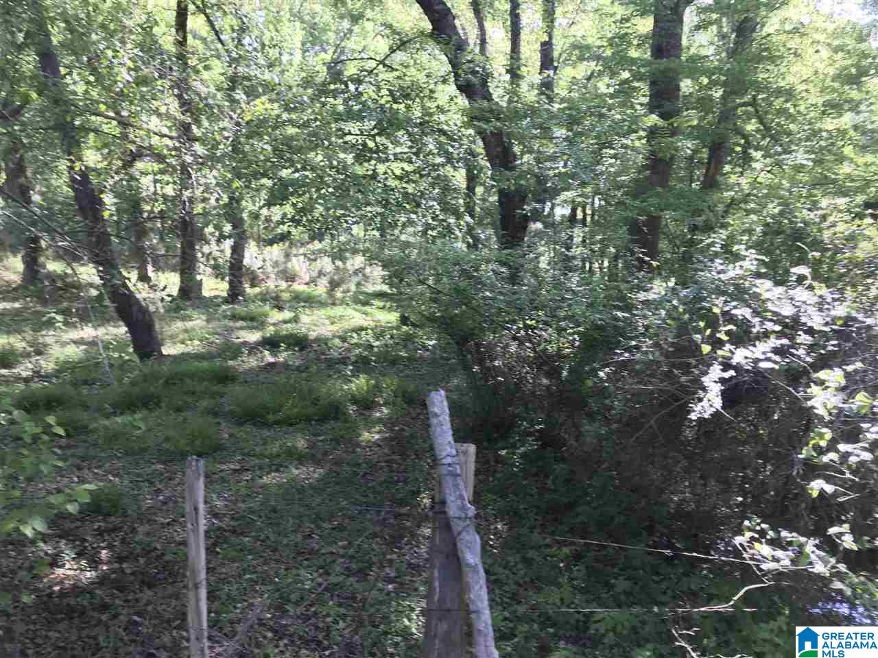 0 Steele Gap Road North, Unit 11 4 Steele, AL 35987 - Photo 18 of 26