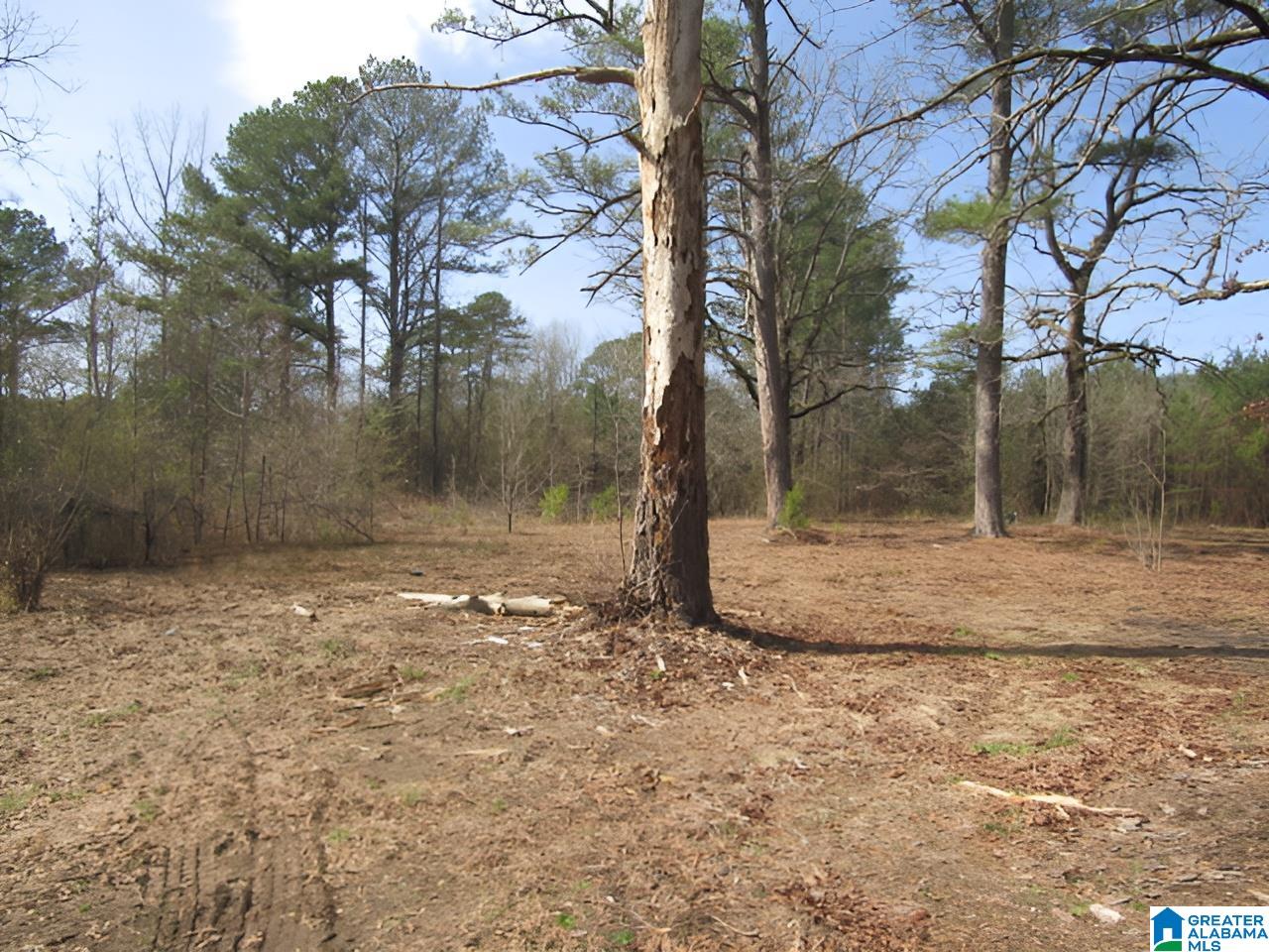 4429 Roy Webb Road Jacksonville, AL 36265 - Photo 16 of 26