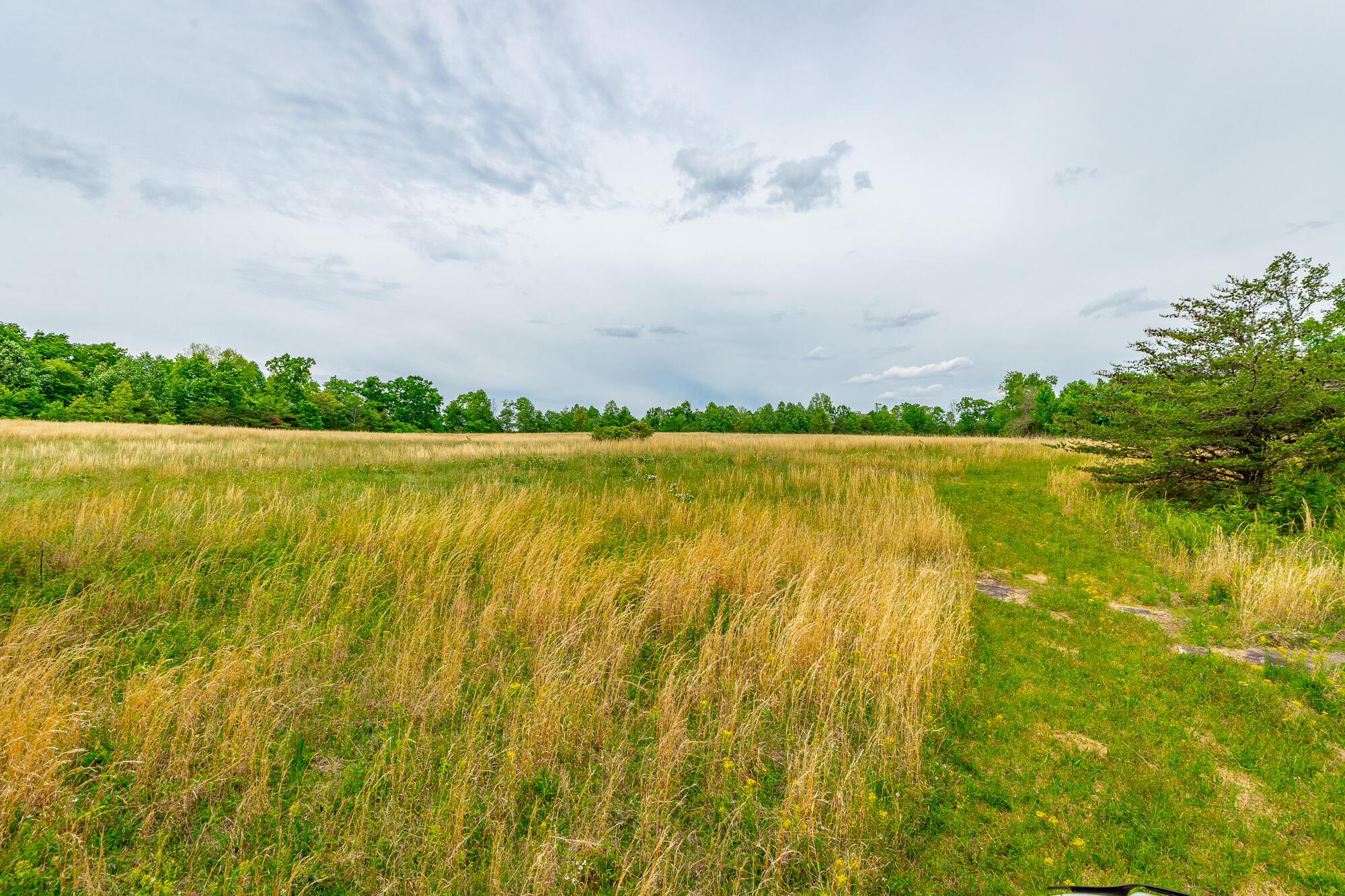 0 Ray Gadd Road Graysville, TN 37338 - Photo 47 of 109 Ray Gadd Road Lot HD-39