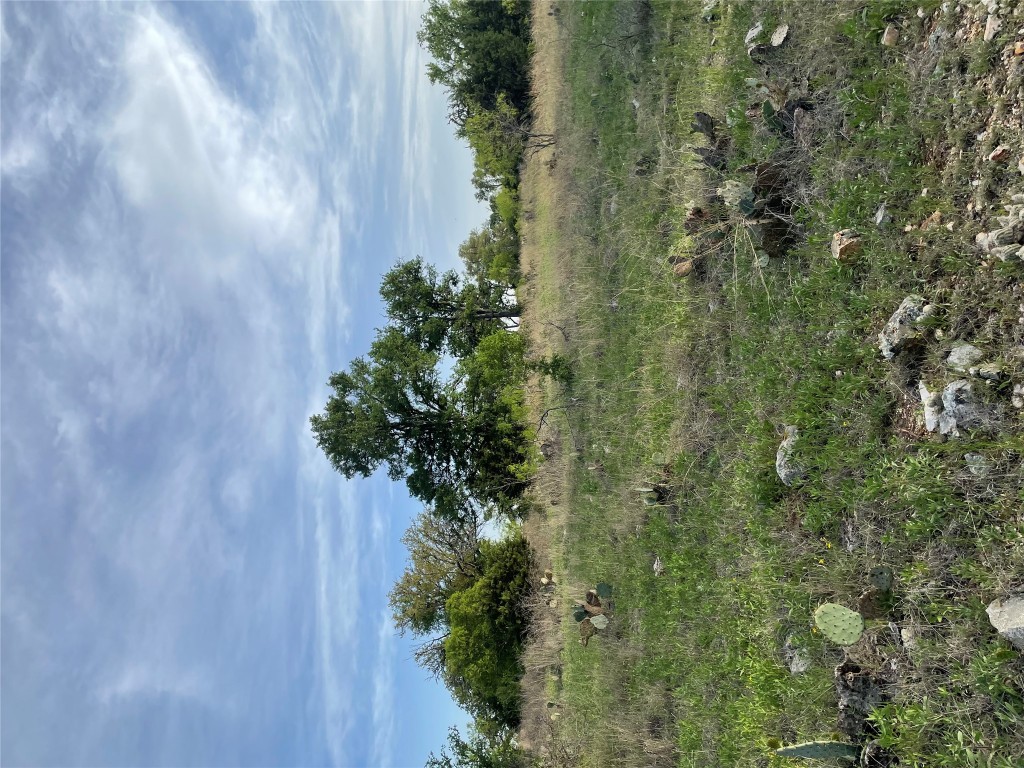 Undisclosed Address San Saba, TX 76877 - Photo 4 of 8