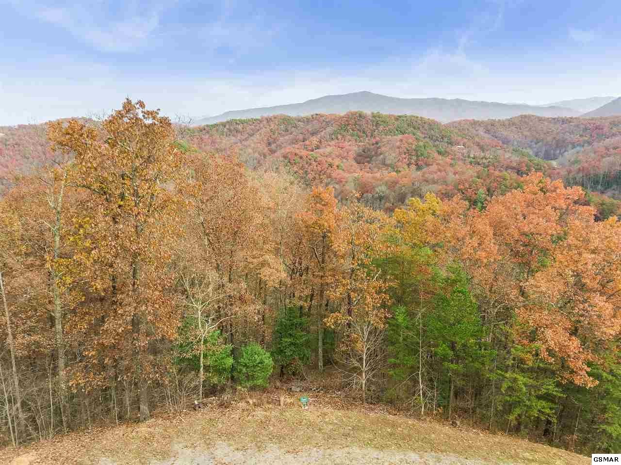 13 Whetstone Road Sevierville, TN 37862 - Photo 10 of 29