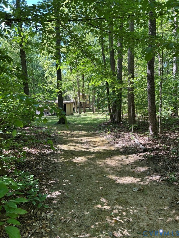3172 Three Bridge Road Powhatan, VA 23139 - Photo 70 of 79 Gallery Image 70