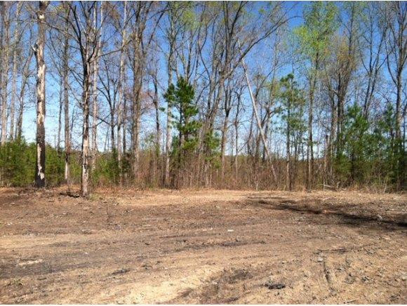 4390 Rone Road Burlington, NC 27217 - Photo 1 of 2 Gallery Image 1