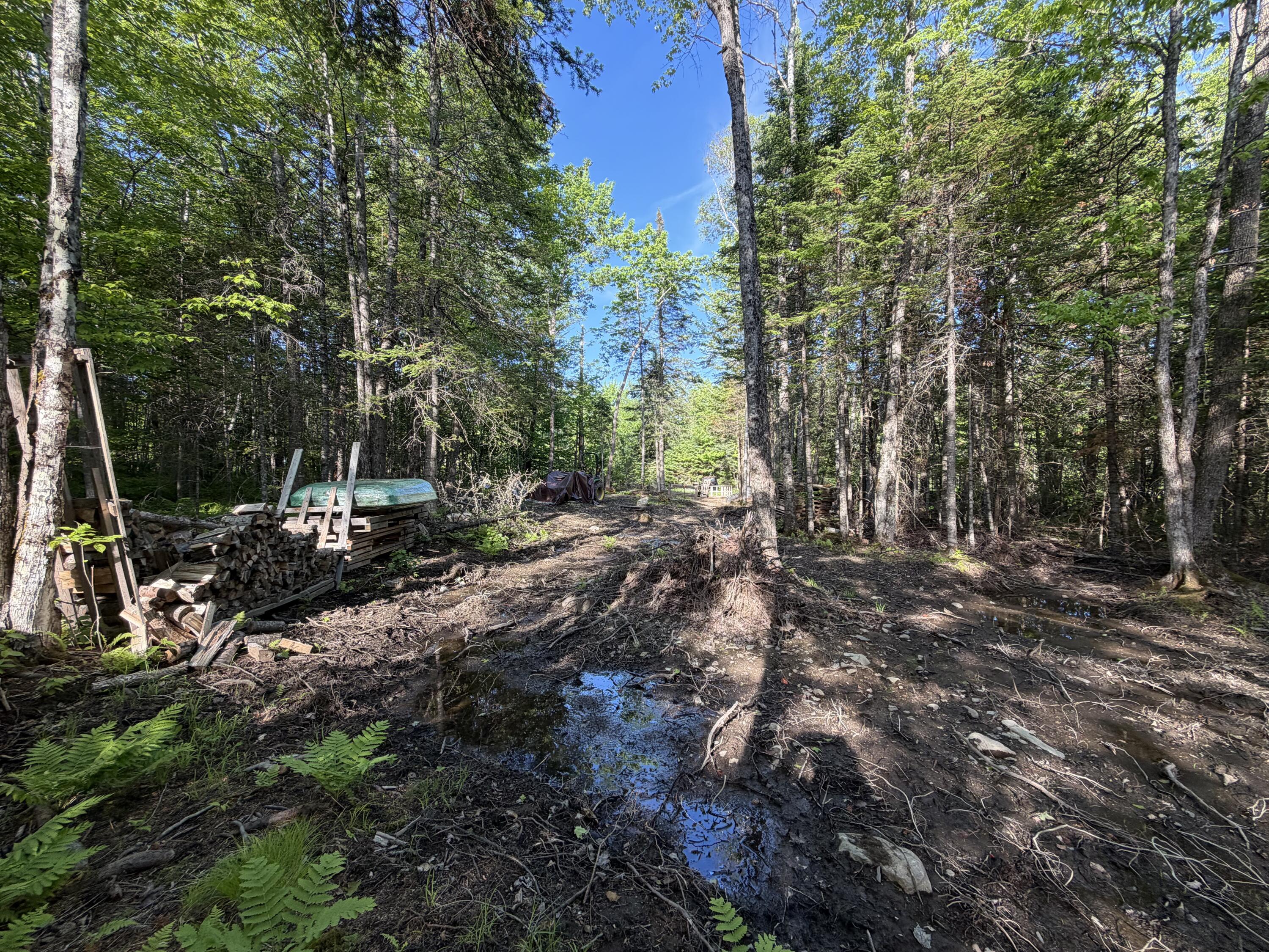Lot 12-001 Off North Guilford Road Monson, ME 04464 - Photo 28 of 48