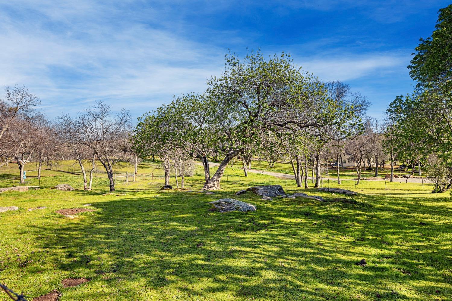 45644 Rocking Chair Road Coarsegold, CA 93614 - Photo 5 of 74 Gallery Image 5