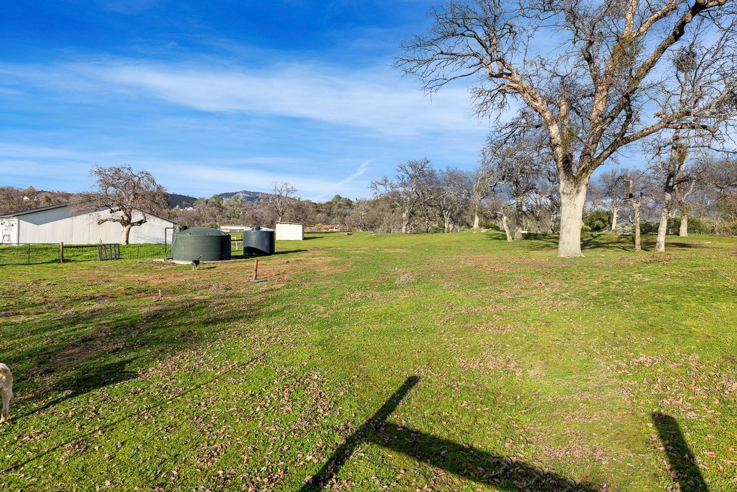 45644 Rocking Chair Road Coarsegold, CA 93614 - Photo 59 of 74 Gallery Image 59