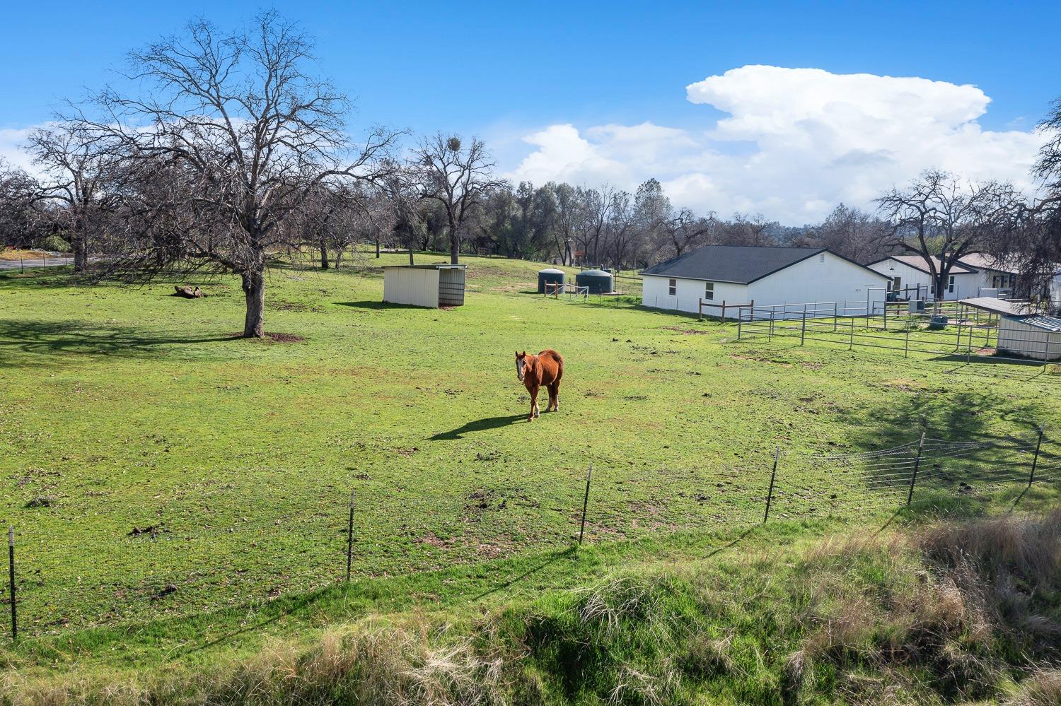 45644 Rocking Chair Road Coarsegold, CA 93614 - Photo 74 of 74 Gallery Image 74