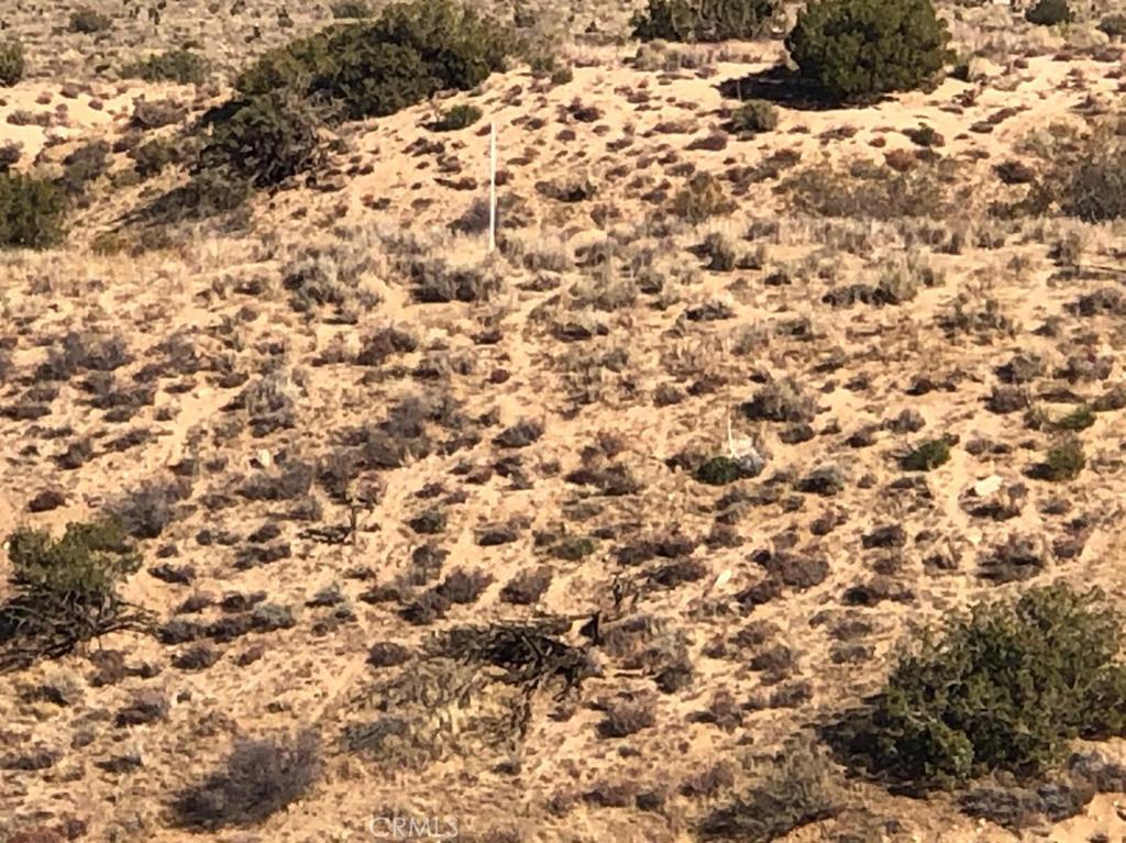 26637 Santa Rosa Road Apple Valley, CA 92308 - Photo 4 of 16 a view of a yard