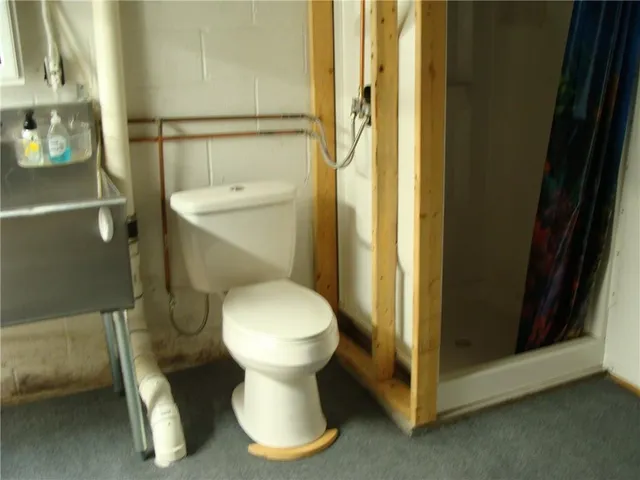 a bathroom with a toilet and a shower