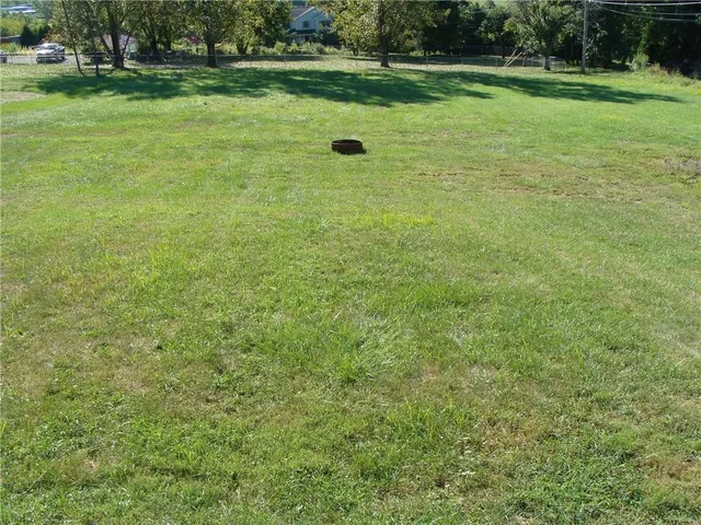 a view of a field with grass and trees
