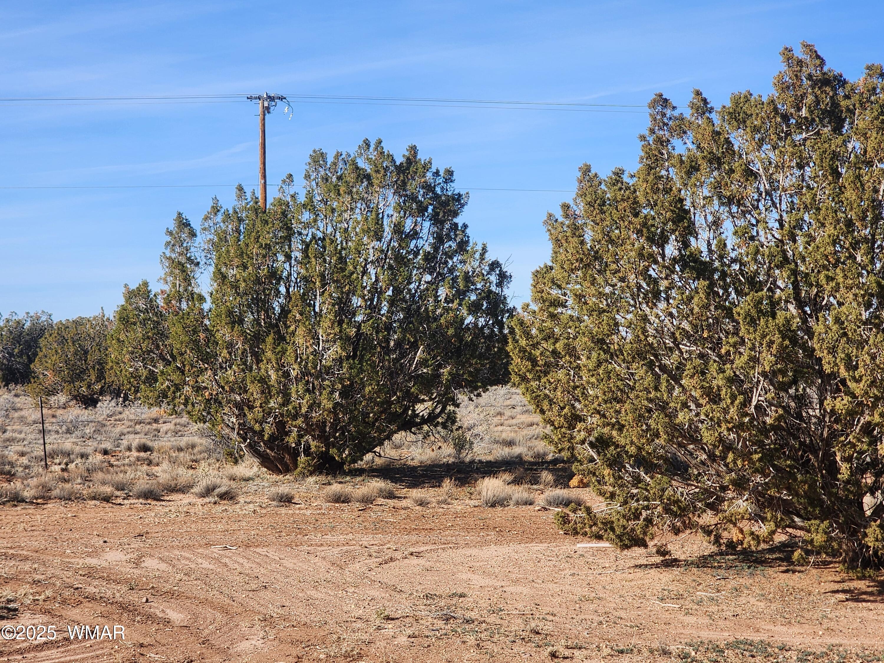 4726 Hay Hollow Road Snowflake, AZ 85937 - Photo 8 of 14 a view of a yard with a tree