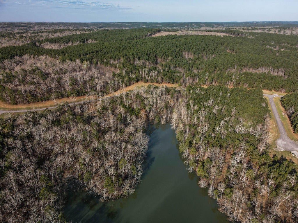 Lot#89 Stoney Point Road North Double Springs, AL 35553 - Photo 10 of 32 Gallery Image 10
