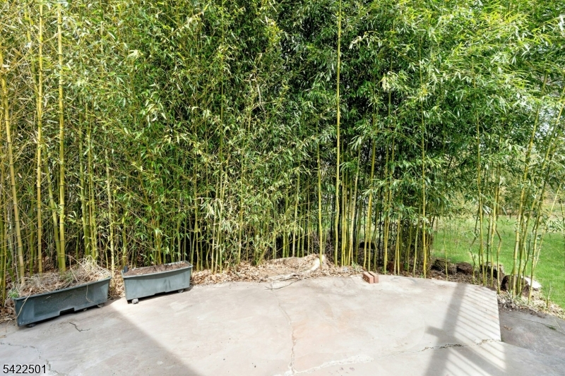 788 Country Club Road Bridgewater, NJ 08807 - Photo 37 of 42