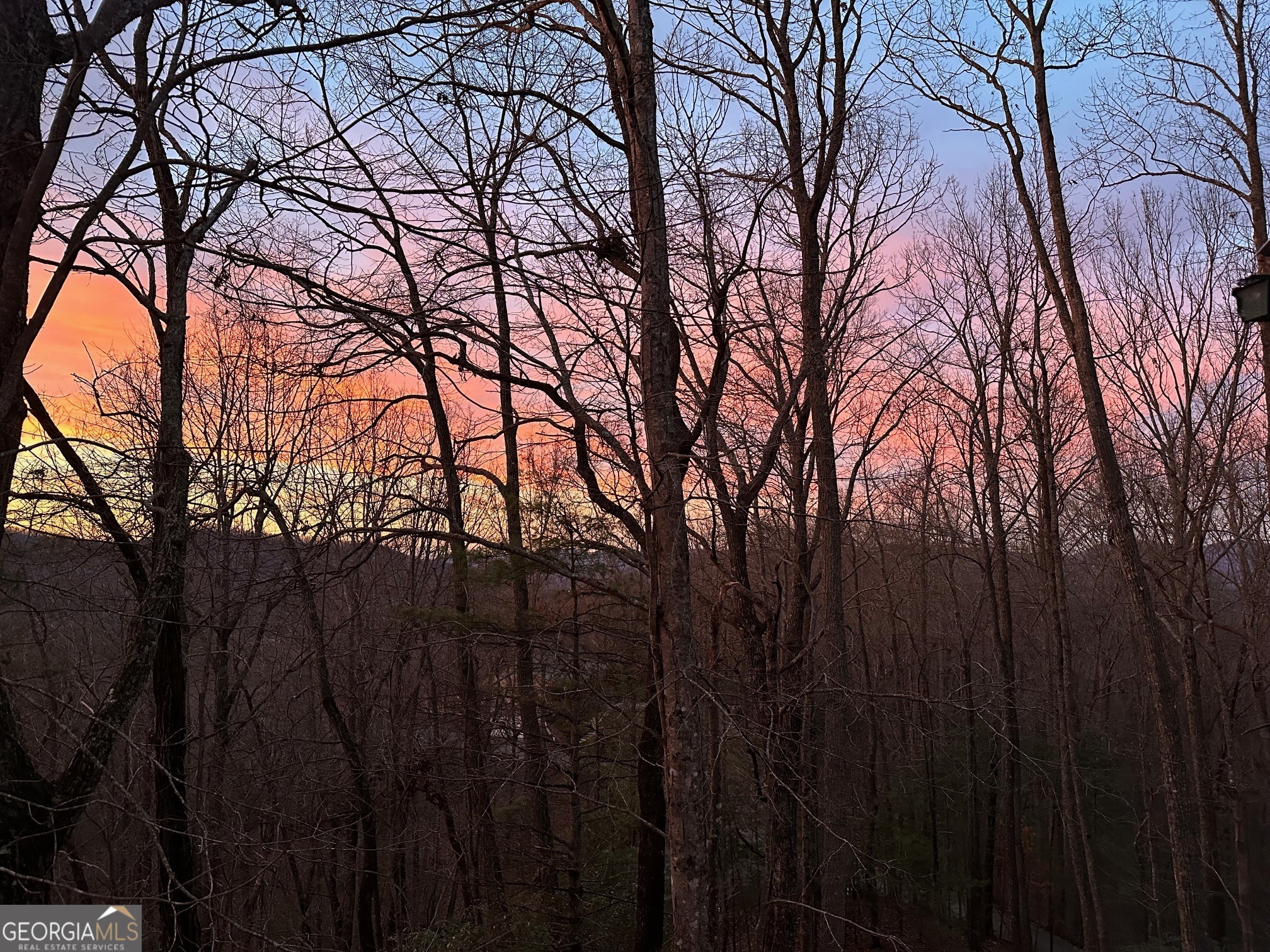 708 Wilson Mountain Road Blairsville, GA 30512 - Photo 4 of 48 a view of trees in a backyard