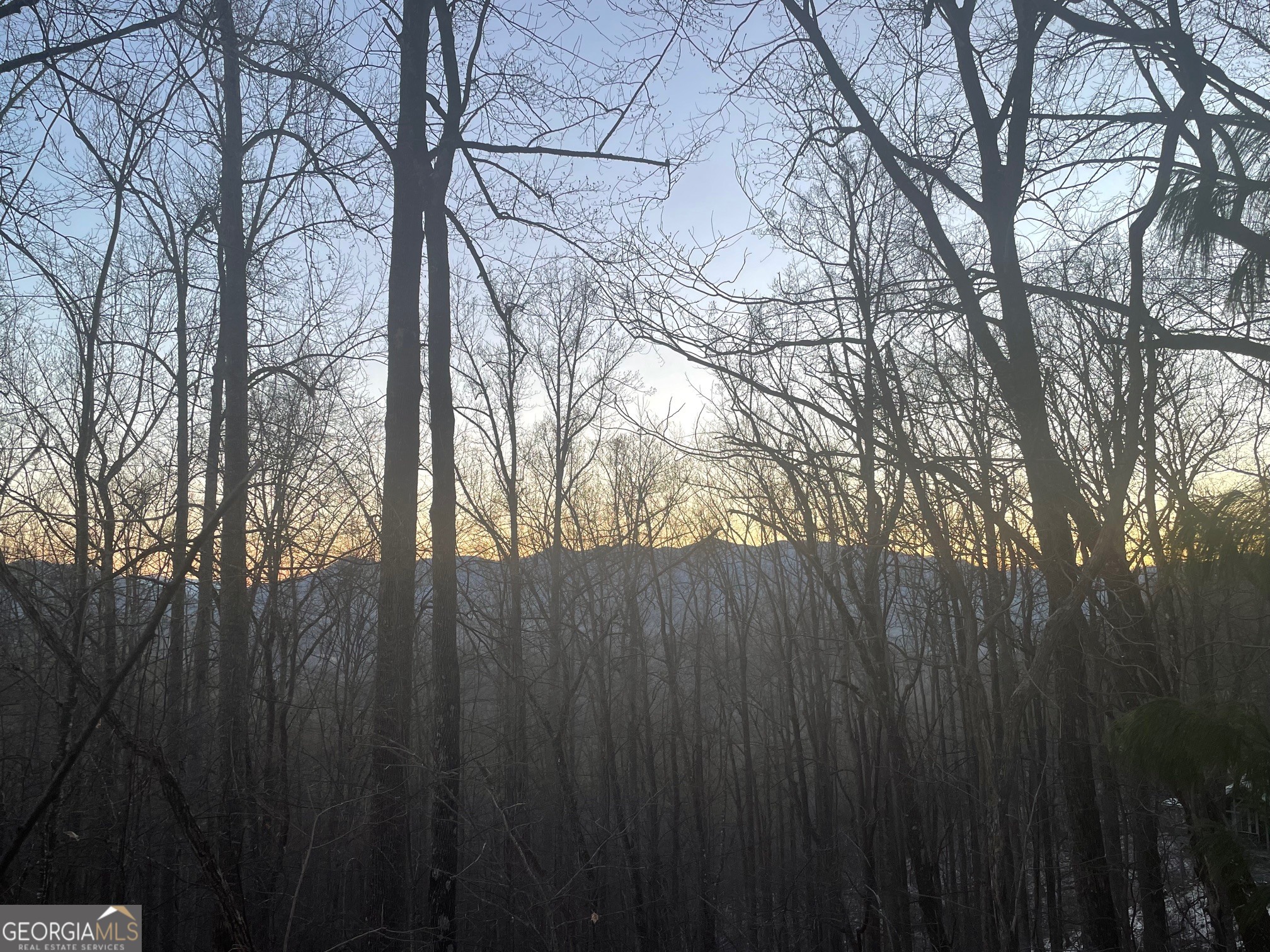 708 Wilson Mountain Road Blairsville, GA 30512 - Photo 43 of 48 a view of a backyard of the house