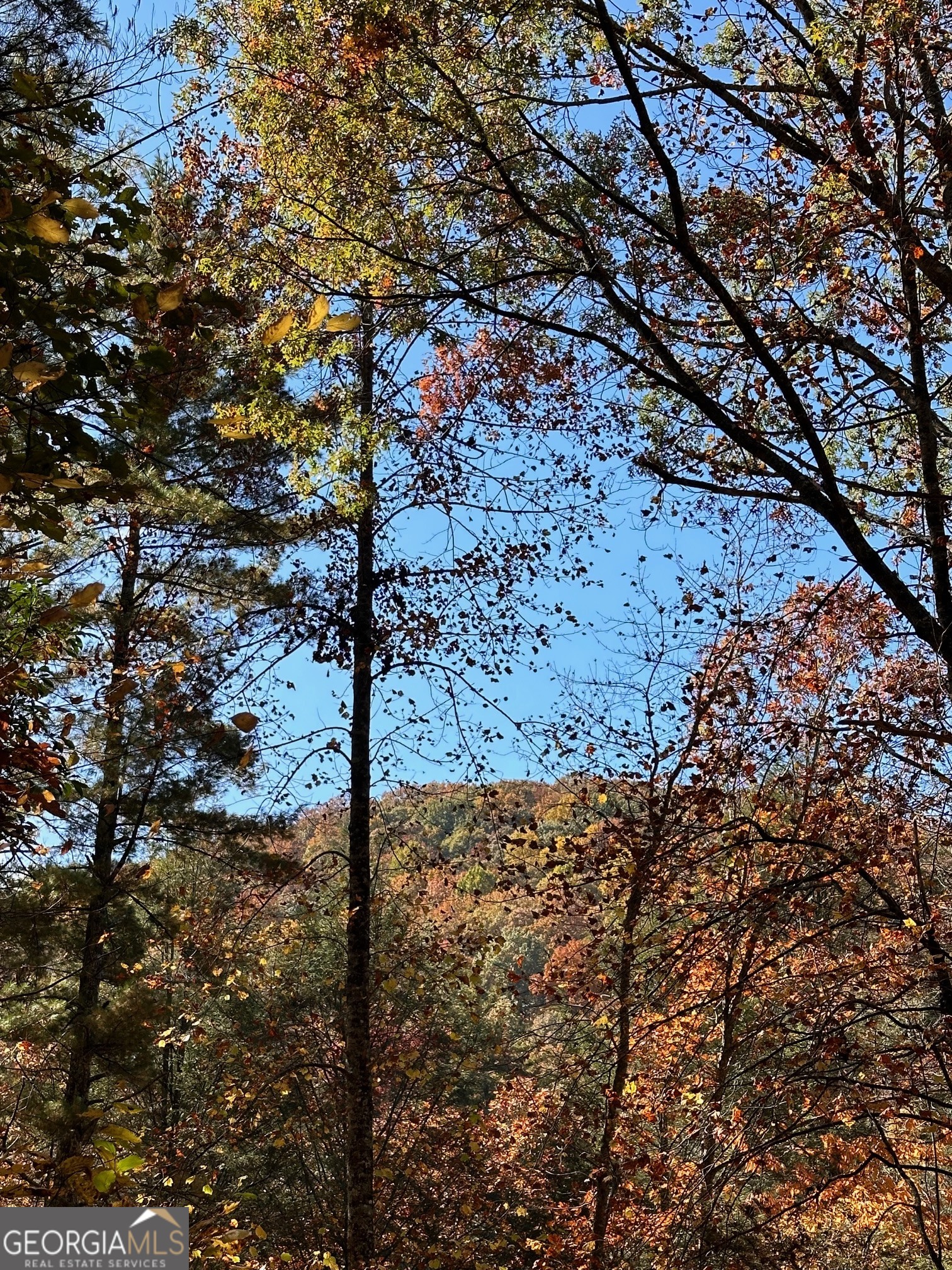 708 Wilson Mountain Road Blairsville, GA 30512 - Photo 44 of 48 a street view
