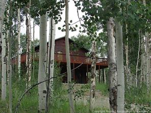 7064 Remington Road Como, CO 80432 - Photo 21 of 22 Gallery Image 21