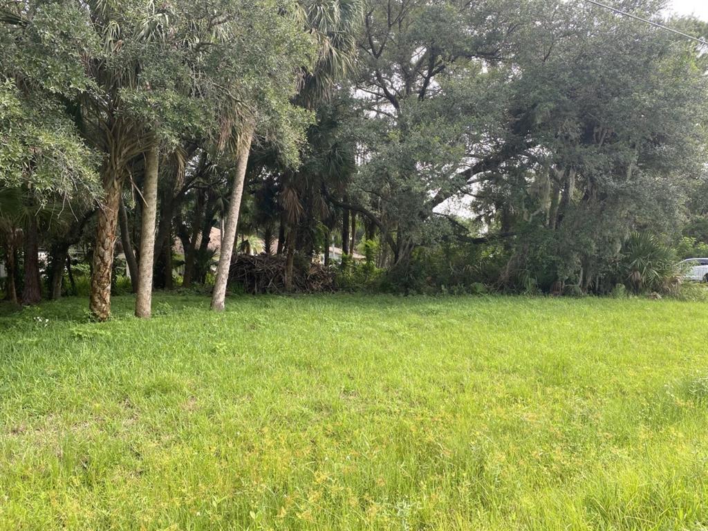 Doblins Rd Port North Port, FL 34287 - Photo 1 of 1 a view of a backyard