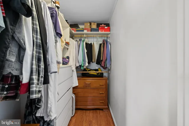 a view of a closet with storage