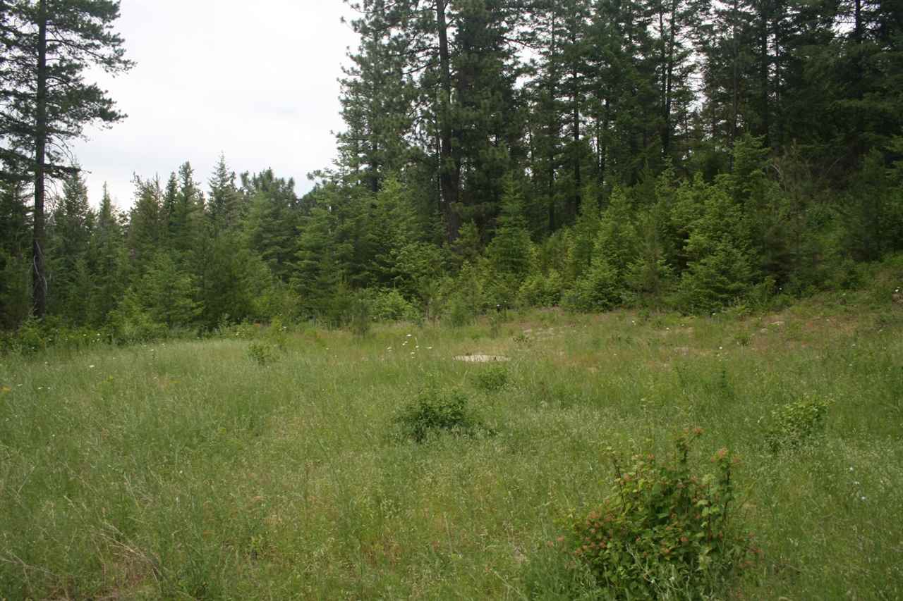 0 North Jackson Road Chattaroy, WA 99003 - Photo 17 of 19