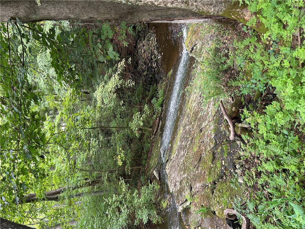 7 Allegheny Road Mount Bethel, PA 18343 - Photo 21 of 71 A peaceful creek flows gently through a densely wooded landscape.