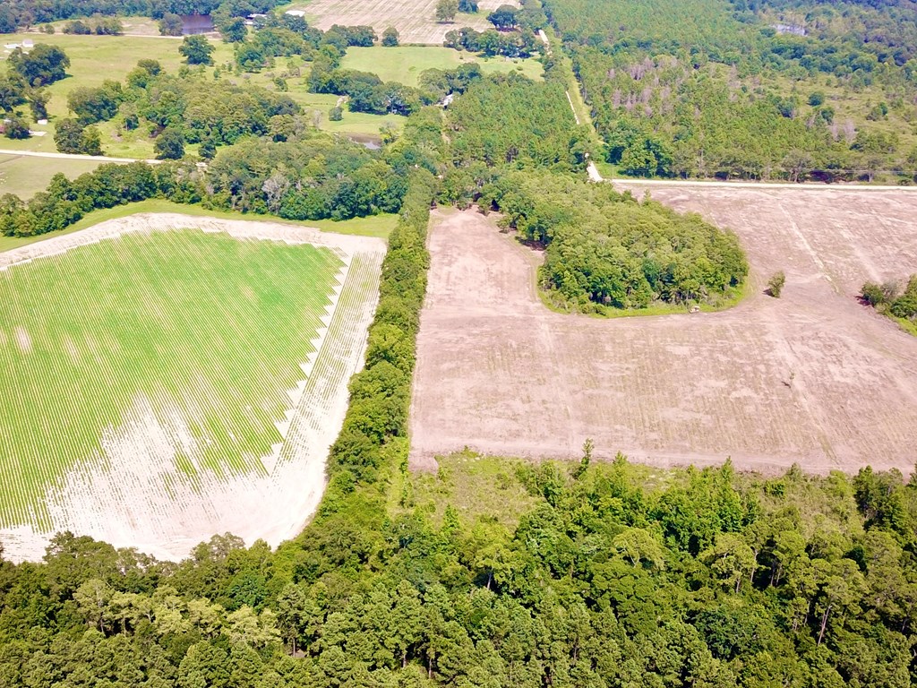 L1 New Hinson Road Slocomb, AL 36375 - Photo 8 of 30