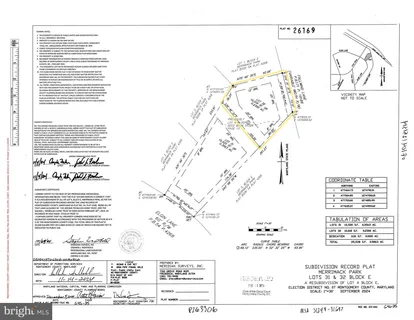 a street view with large trees