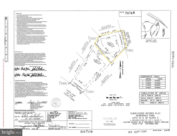 a street view with large trees