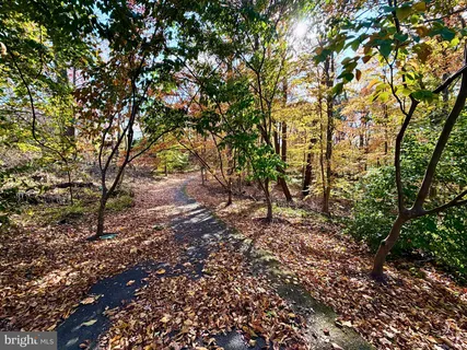 a view of a park with large trees