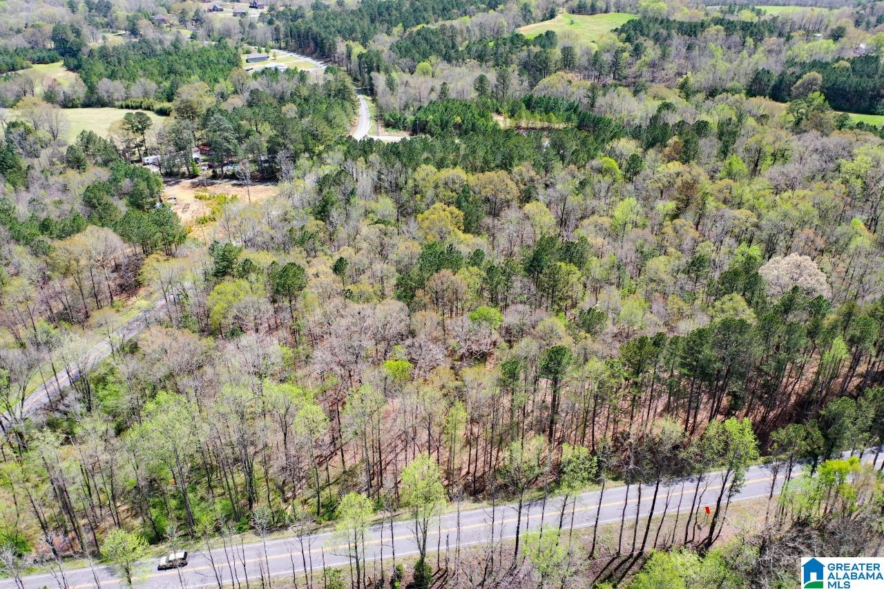 0 County Road 15 Locust Fork, AL 35097 - Photo 11 of 14