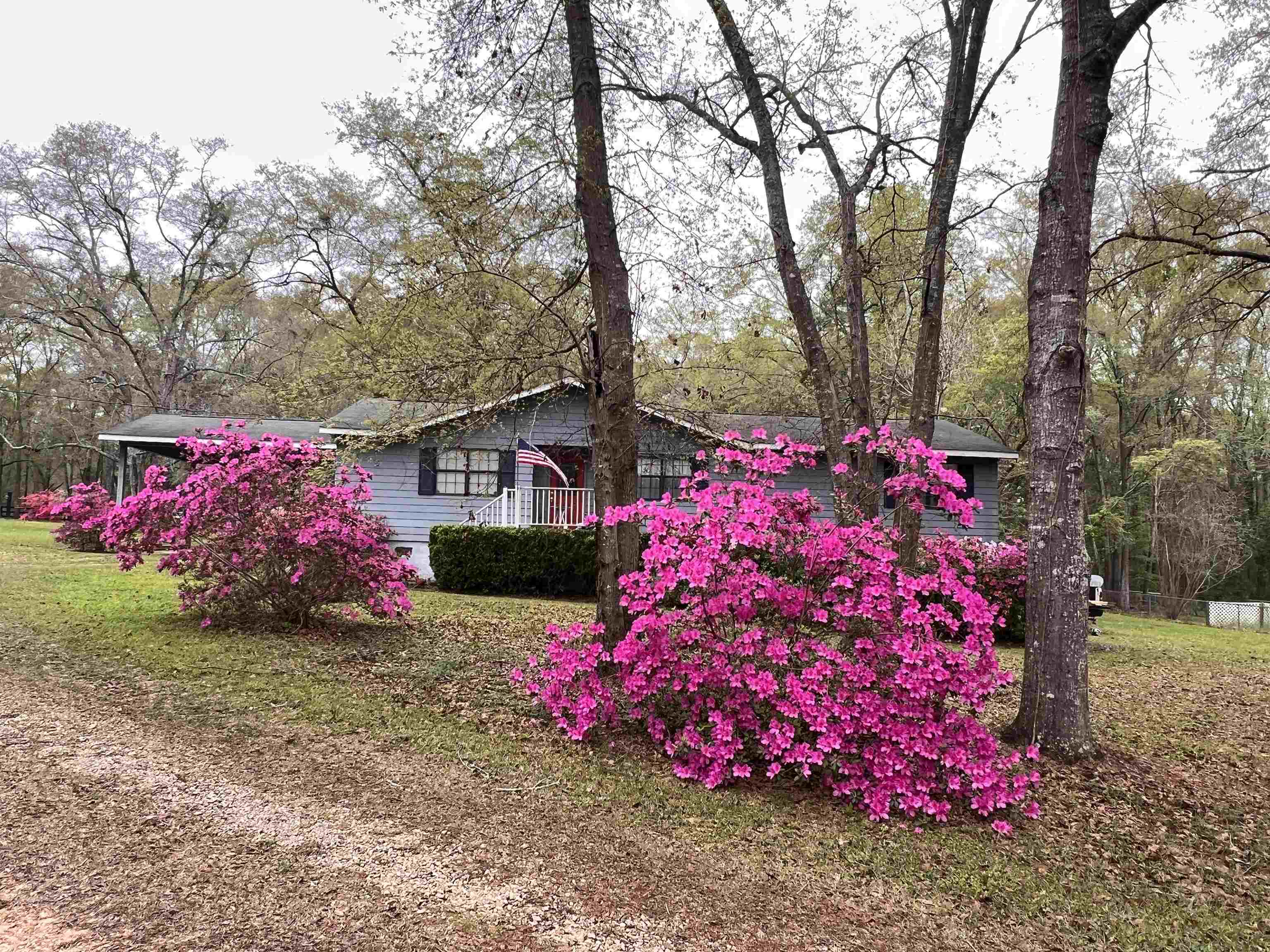 11096 Tung Grove Road Tallahassee, FL 32317 - Photo 15 of 26 Gallery Image 15