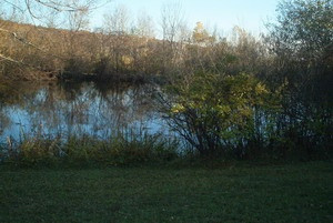 367 County Rt 312 Westerlo, NY 12193 - Photo 8 of 8 Photo 8